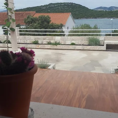 Ted Apartman